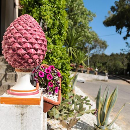 Agriturist Soleluna Caltagirone Dış mekan fotoğraf